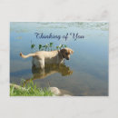Suche nach see you postkarten Für alle
