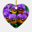 Suche nach stiefmütterchen ornamente Bunt