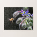 Suche nach honey bee puzzle Blume