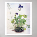 Suche nach duerer poster Blume