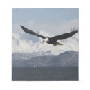 Suche nach flug notizblock David northcott