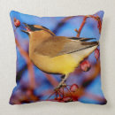 Suche nach zedern kissen Vogelbeobachtung