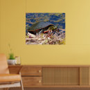 Suche nach schildkröten poster Fotografie