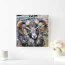 Suche nach ramen wanduhren Tiere