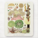 Suche nach wissenschaftlich mousepads Vintag