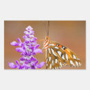 Suche nach gulf aufkleber Schmetterling