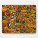 Suche nach bäume mousepads Baum