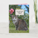 Suche nach katzengeburtstag Für alle