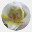 Suche nach phalaenopsis aufkleber Weiß