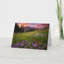 Suche nach wildflowers karten Nature