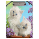 Suche nach kätzchen klemmbrett Haustiere