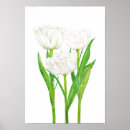 Suche nach weiße tulpen poster Aquarell