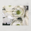 Suche nach weiße rosen postkarten Für alle