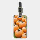 Suche nach kürbis gepäckanhänger Herbst