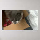 Suche nach schachtel poster Für alle