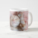 Suche nach striped tassen Katze