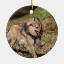 Suche nach geschirr ornamente Bob und pam langrish