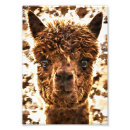 Suche nach augapfel poster Jede person