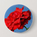 Suche nach blaue rose buttons Natur