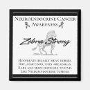 Suche nach krebs magnete Unterstützung