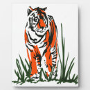 Suche nach tiger fotoplatten Natur