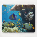 Suche nach rote fische mousepads Tier