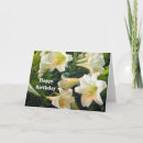 Suche nach osterlilien karten Easter