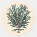 Suche nach apotheke aufkleber Witch