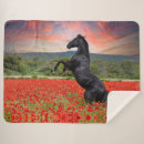 Suche nach schwarzes pferd decken Pferde