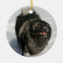 Suche nach keeshond ornamente Verzierung