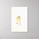 Suche nach junges tier leinwandbilder Niedlich