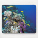 Suche nach rote fische mousepads Koralle