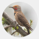 Suche nach gary aufkleber Usa