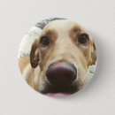 Suche nach goldener welpe buttons Jede person