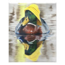 Suche nach niedliche ente poster Tiere