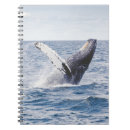 Suche nach riesen notizbuch Natur