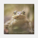 Suche nach keks magnete Von nahem