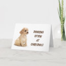 Suche nach hundewanderer karten Fotografie