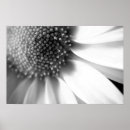 Suche nach bühnen poster Druck