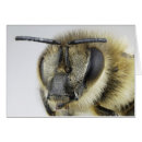 Suche nach wirbellos postkarten Antenne