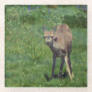 Suche nach im gesicht untersetzer Sommer