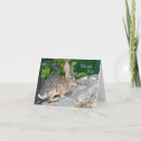 Suche nach wildes kaninchen karten Hasen