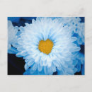 Suche nach spender postkarten Natur