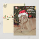 Suche nach hund weihnachten postkarten Weimaraner