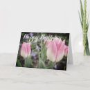 Suche nach rosa tulpen karten Frühling