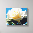 Suche nach beauty leinwandbilder Blume