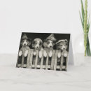 Suche nach vintage hunde karten Jede person
