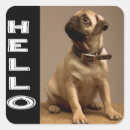 Suche nach pug aufkleber Welpe