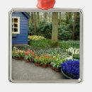 Suche nach holland ornamente Europa