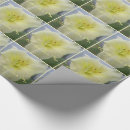 Suche nach weiße lilie geschenkpapier Jede person